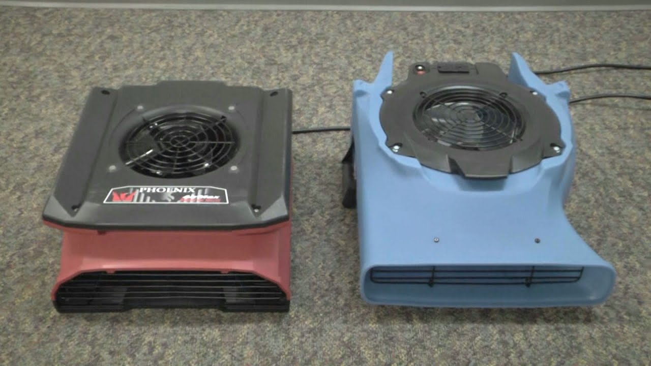 Phoenix vs. American Legends: A Comparative Analysis of  Drying Equipment: